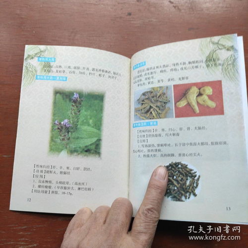 《中醫(yī)養(yǎng)生保健服務(wù)指南 婦女、高血壓及中醫(yī)基礎(chǔ)三冊精要》